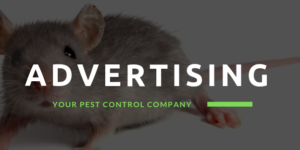 5 Ways to Advertise Your Pest Control Business Online